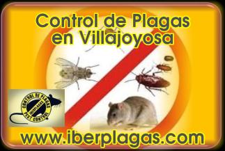 Control de Plagas en Villajoyosa