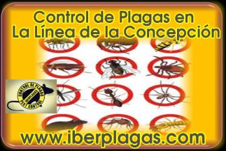 Control de Plagas en La Línea de la Concepción