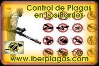 Control de Plagas en Los Barrios