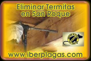 Eliminar Termitas en San Roque
