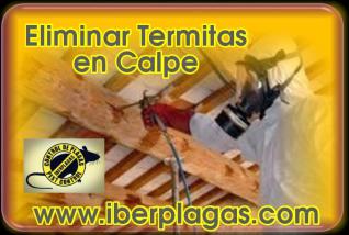 Eliminar termitas en Calpe