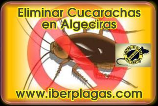 Eliminar Cucarachas en Algeciras
