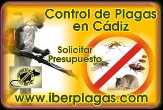 Control de Plagas en Cádiz