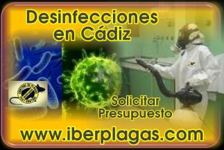Desinfecciones en Cádiz