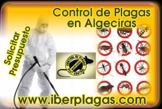 Control de Plagas en Algeciras