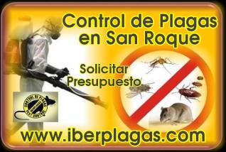 Control de Plagas en San Roque