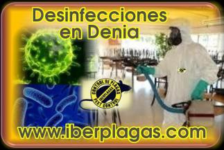 Desinfecciones en Dénia