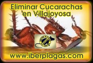 Eliminar cucarachas en Villajoyosa