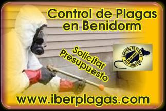 Control de Plagas en Benidorm