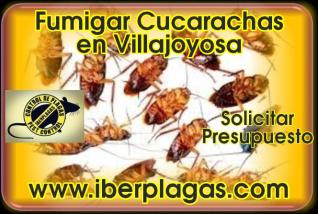 Fumigar cucarachas en Villajoyosa