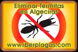 Eliminar Termitas en Algeciras