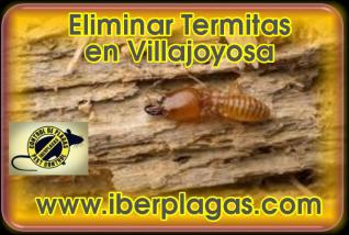 Eliminar Termitas en Villajoyosa