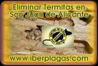 Eliminar Termitas en San Juan de Alicante